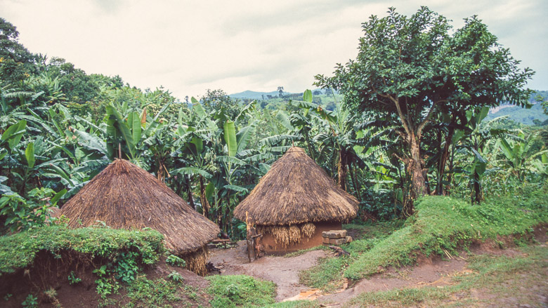 Uganda, Sipi, 