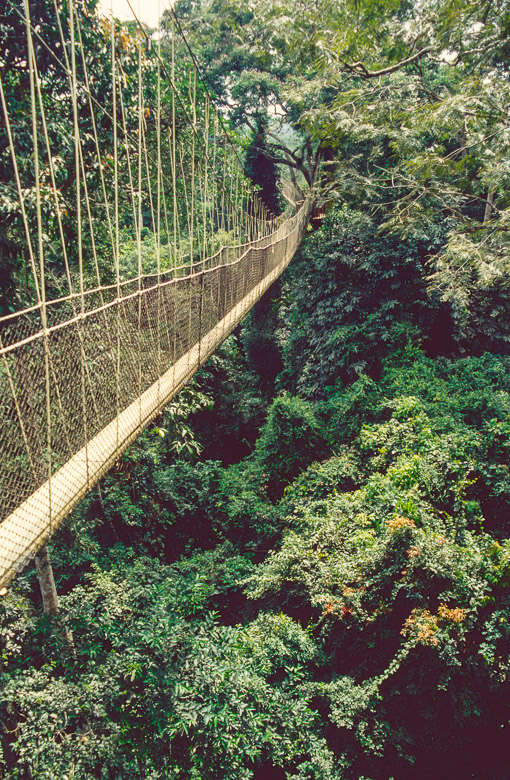 Ghana, Kakum, 