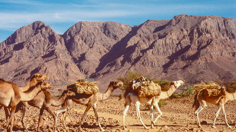Niger, Air, 