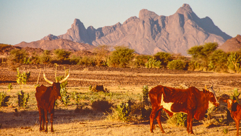 Niger, Air, 