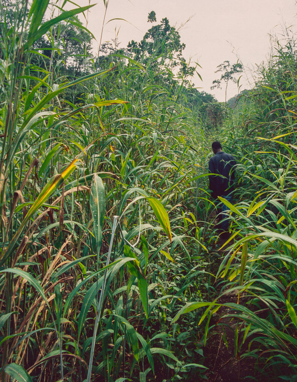 Togo, Tomagbe, 