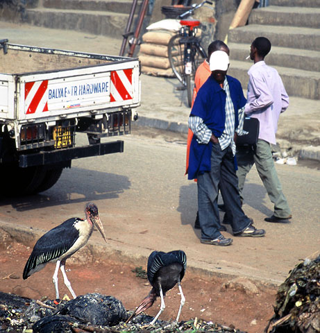 Uganda, Mbarara, 