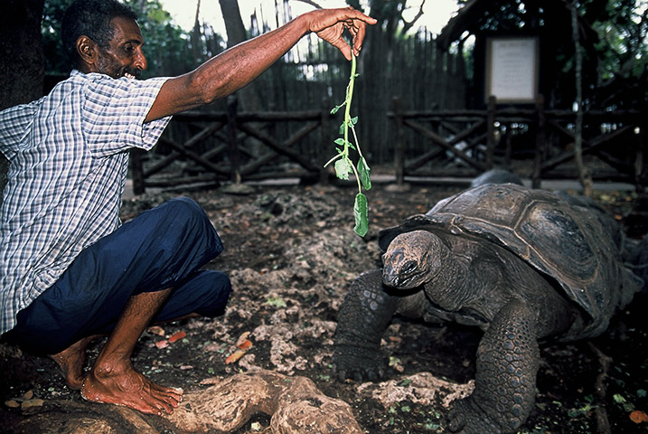 Tanzania, Zanzibar, 