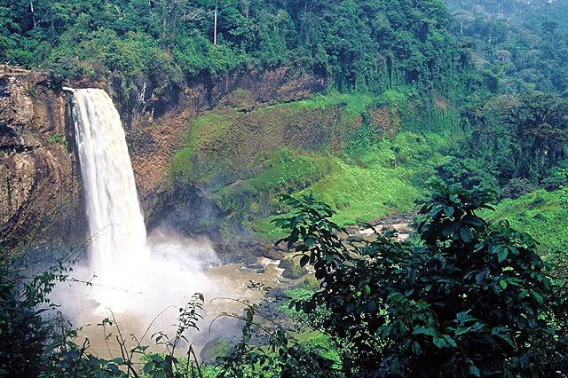 Kamerun, Ekom, 