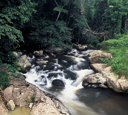 Gabon, Lopé, 