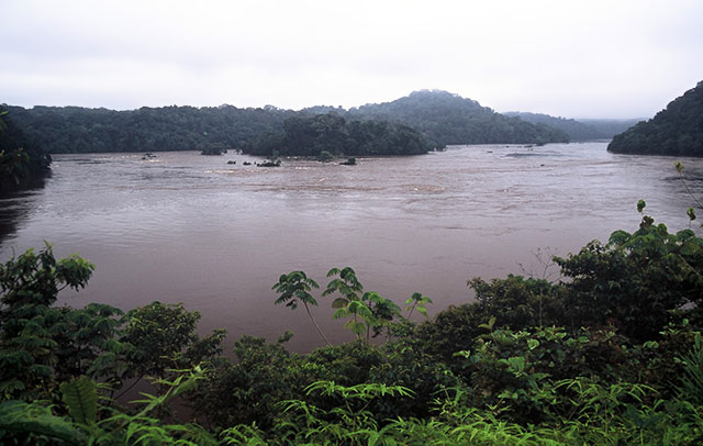 Gabon, Ndjolé, 