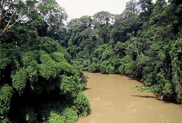 Gabon, Lopé, 