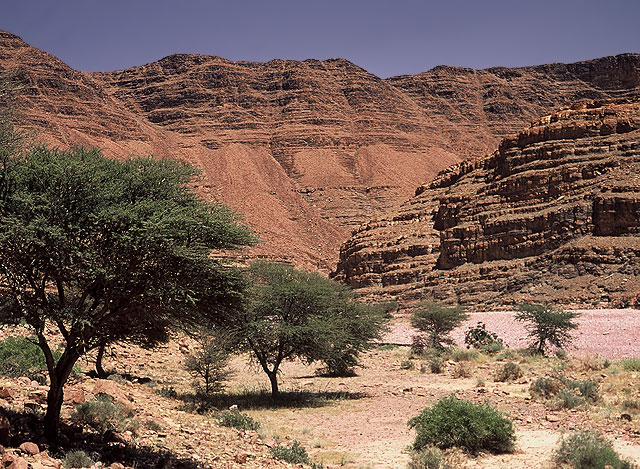 Maroko, Foum-Zguid,