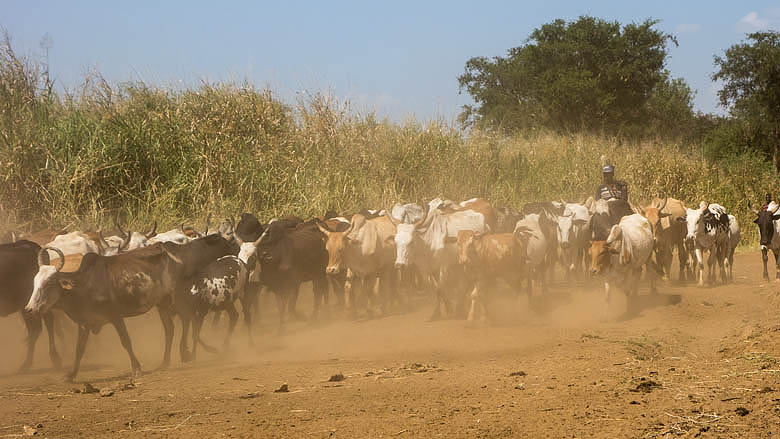 Sudan Południowy, Chukudum, 