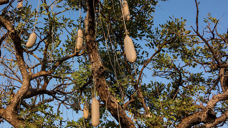 Sudan Południowy, Dżuba, 