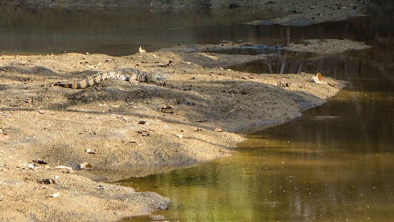 Sudan Południowy, Torit, 