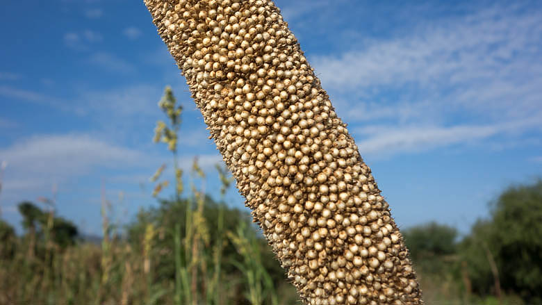 Sudan Południowy, Lauru, 