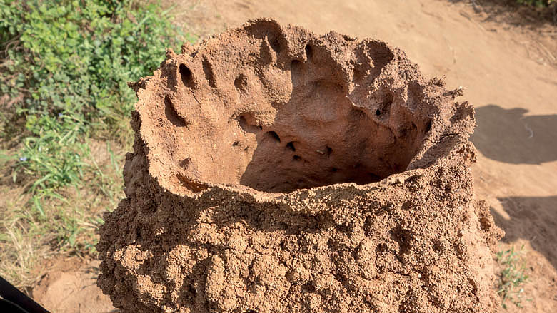 Sudan Południowy, Lauru, 