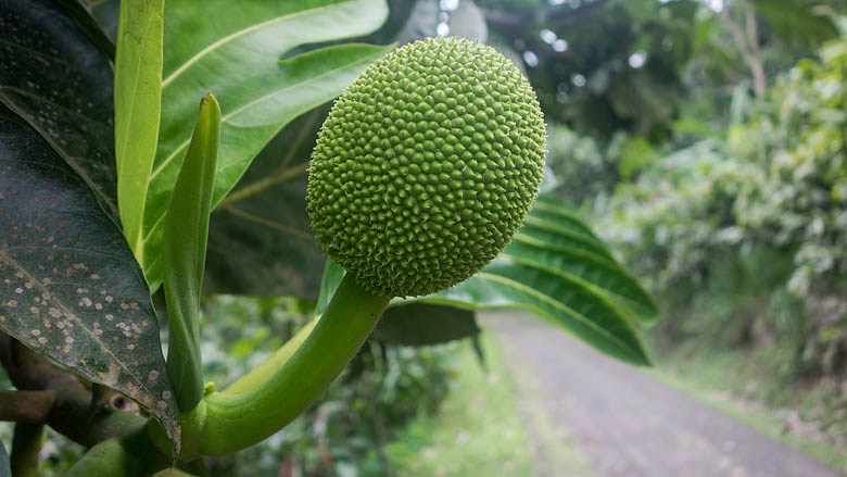 Wyspy Świętego Tomasza i Książęca, Neves, 