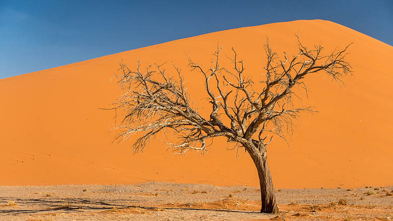 Namibia, Sossusvlei, 