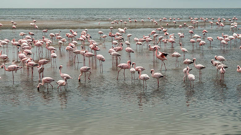 Namibia, Walvis Bay, 