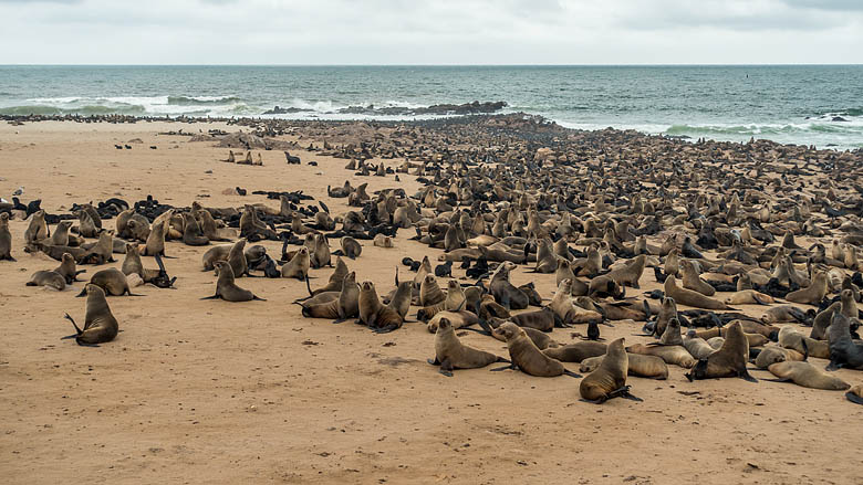 Namibia, Cape Cross, 