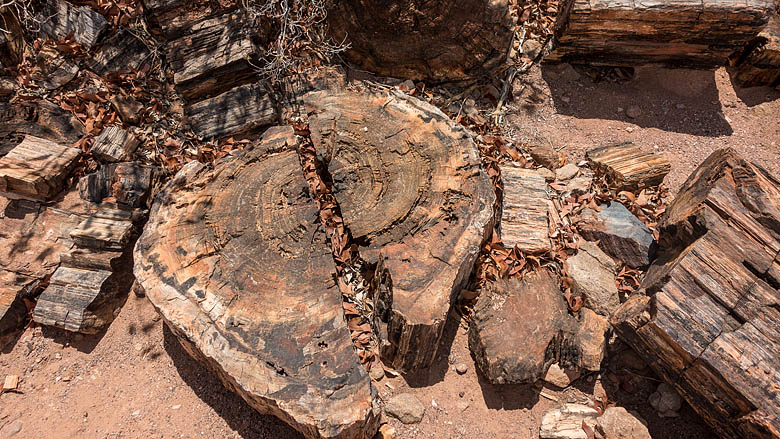 Namibia, Twyfelfontein, 