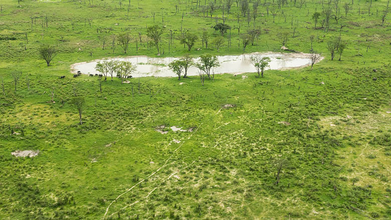 Botswana, Delta Okawango,