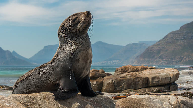 Republika Południowej Afryki, Kapsztad, 