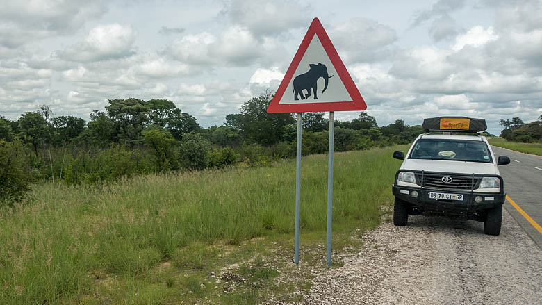 Botswana, Chobe, 