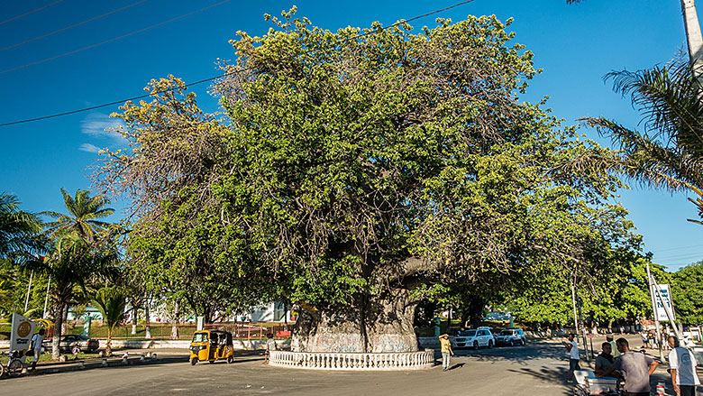 Madagaskar, Mahajanga, 