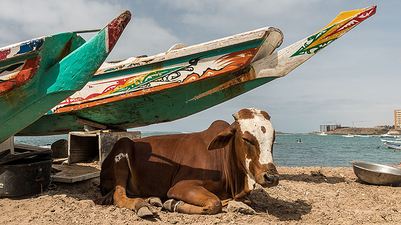 Senegal, Dakar, 