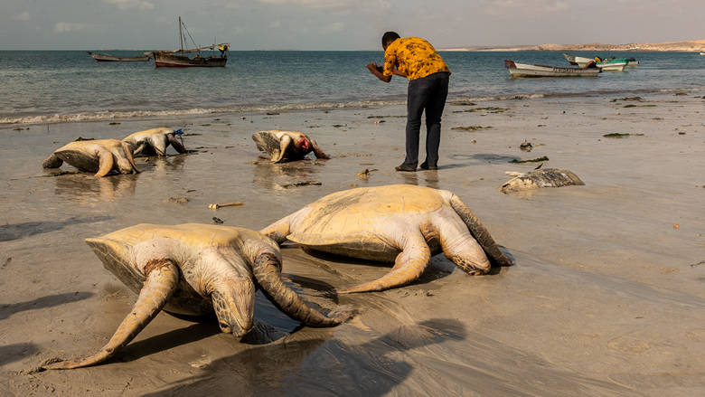 Somalia, Kismaju, 