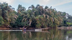 Tiwai Island