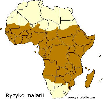Mapa - malaria w Afryce
