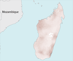 Madagaskar