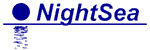 Logo NightSea