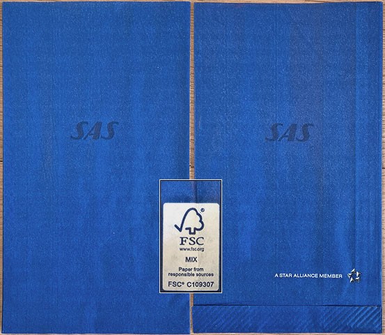 Torba SAS Scandinavian