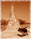 Tsumeb Tsumeb