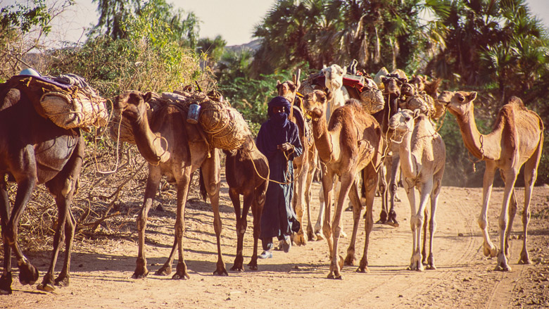 Niger, Air, 