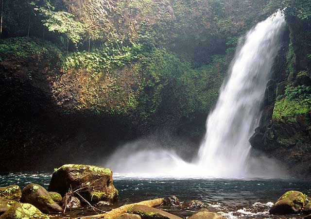 Kamerun, Bomana, 