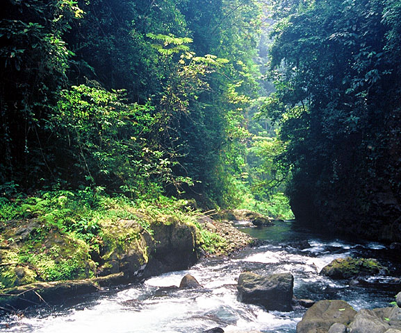 Kamerun, Bomana, 