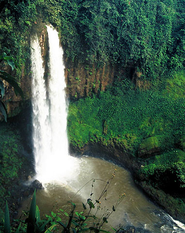 Kamerun, Bafang, 