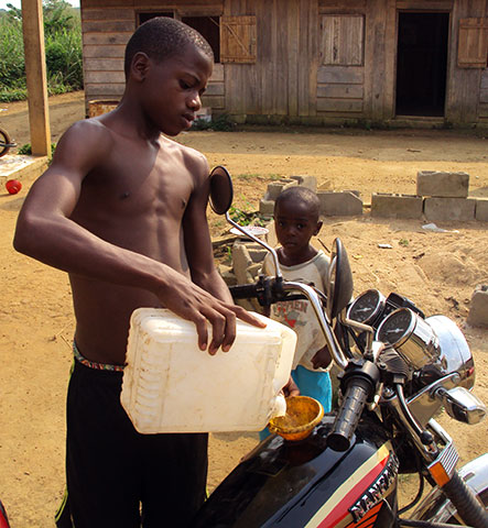 Gabon, Ovan, 