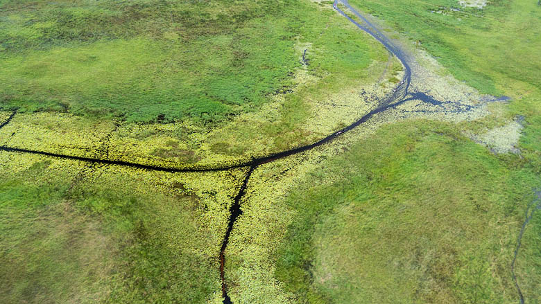 Botswana, Delta Okawango, 
