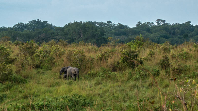 Gabon, Lopé, 